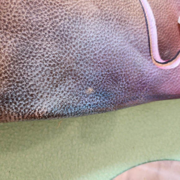 Hand Painted Collector Purse ANUSCHKA Leather - Picture 12 of 16